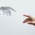 ¿Inteligencia Artificial en la Arquitectura?